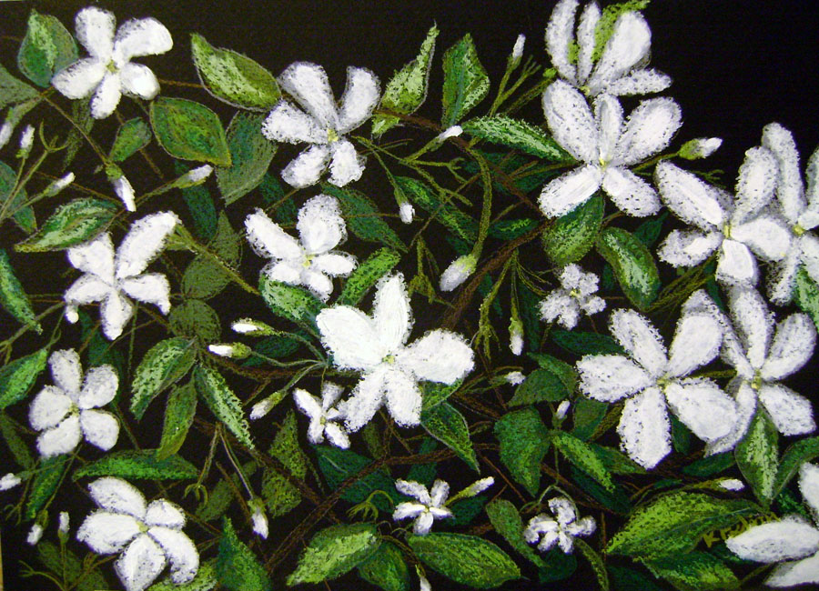 Image result for jasmine paintings